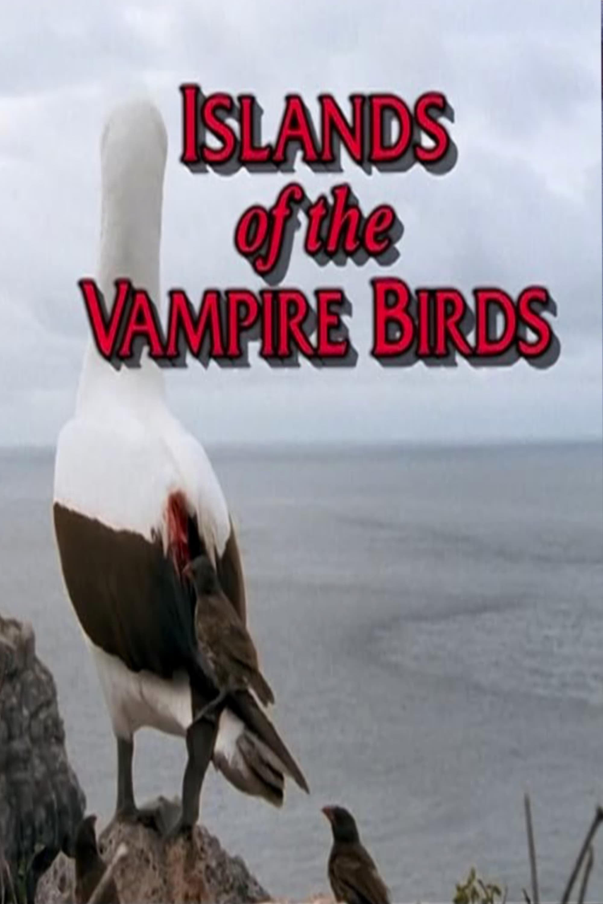 Islands of the Vampire Birds | Islands of the Vampire Birds