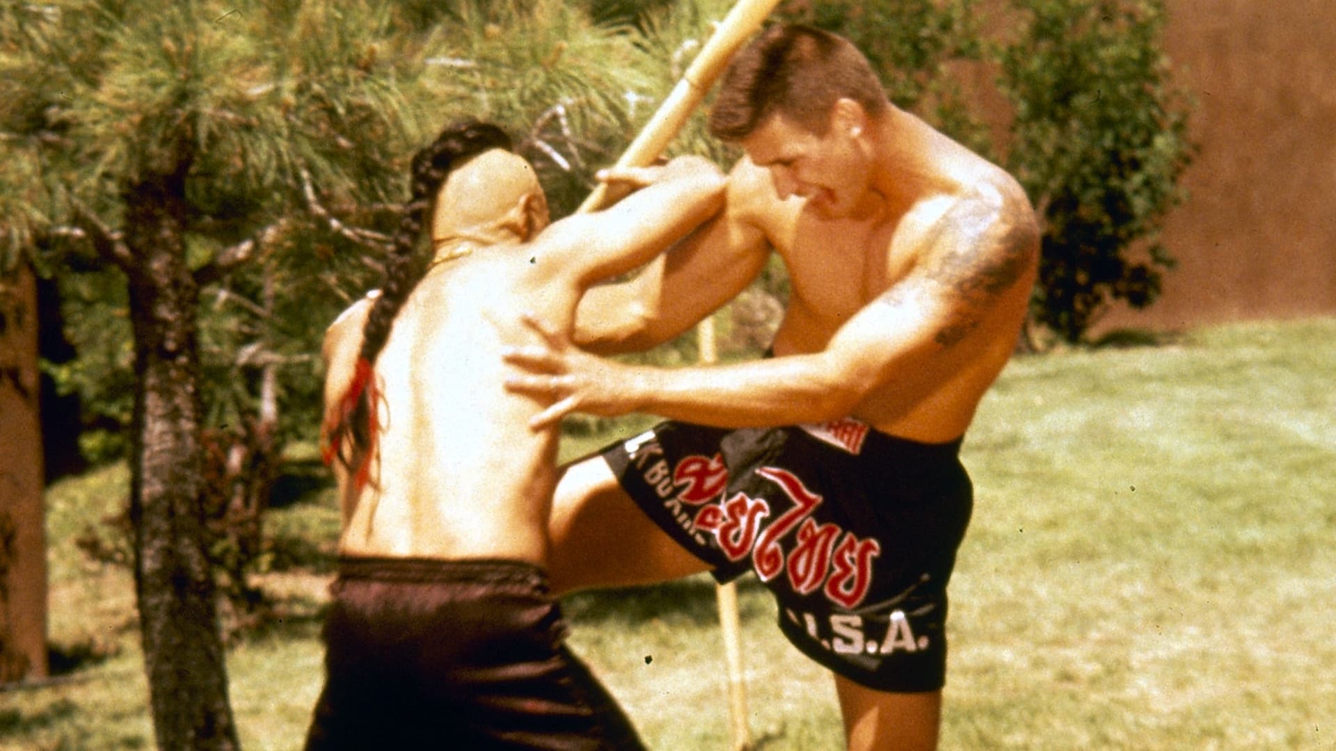 Kickboxer 4: The Aggressor|Kickboxer 4: The Aggressor