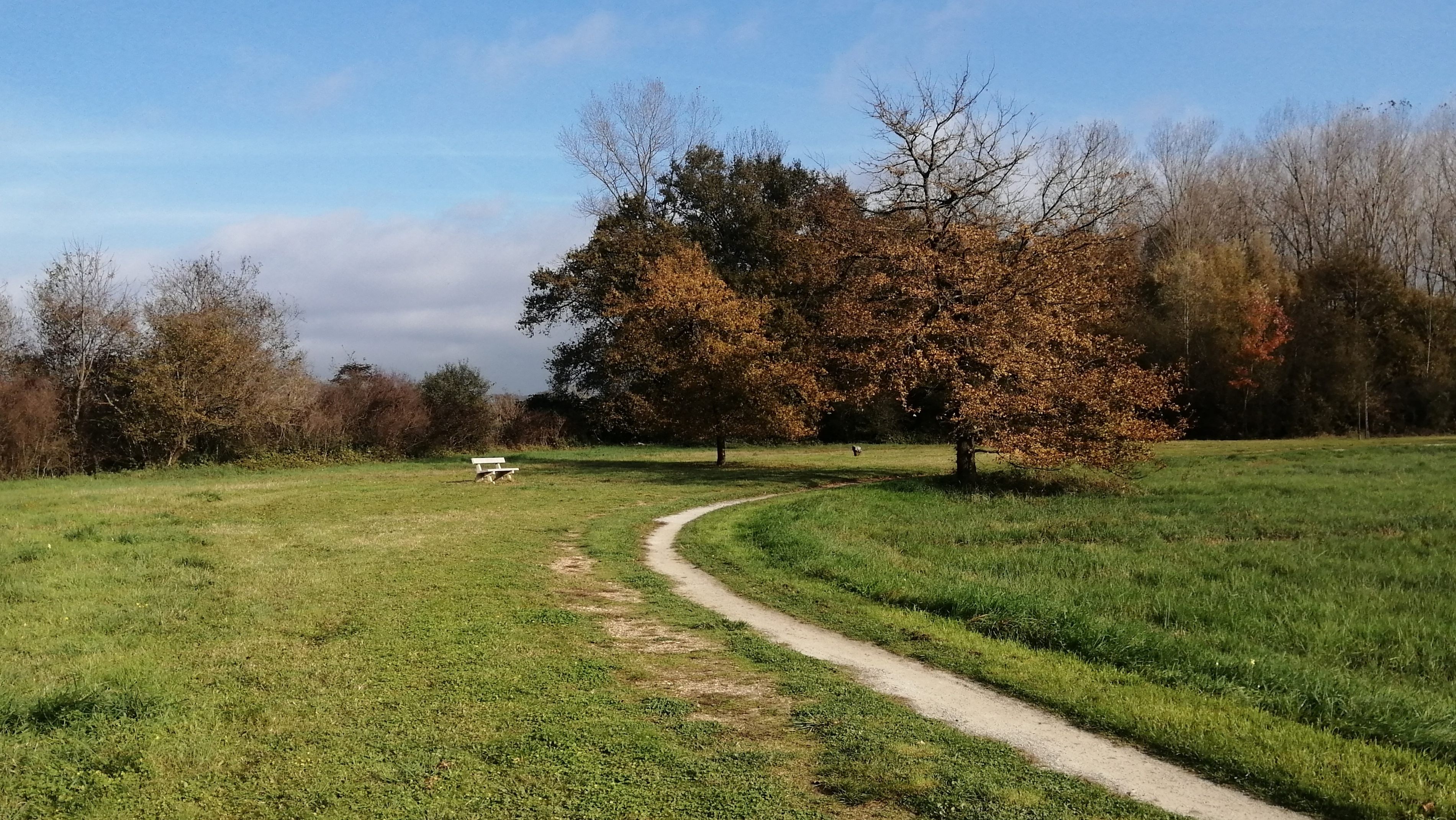 Running Fields II|Running Fields II