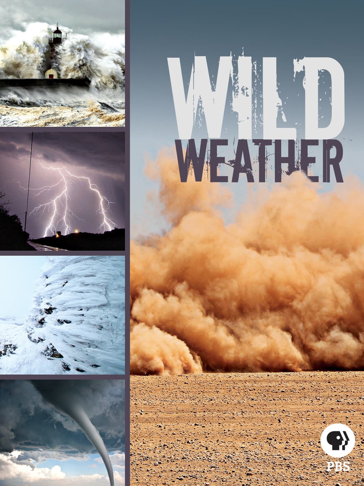 Wild Weather | Wild Weather