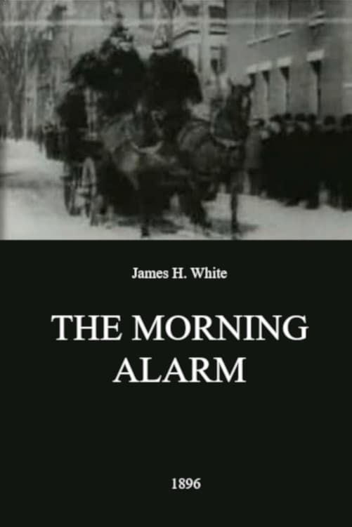 The Morning Alarm | The Morning Alarm