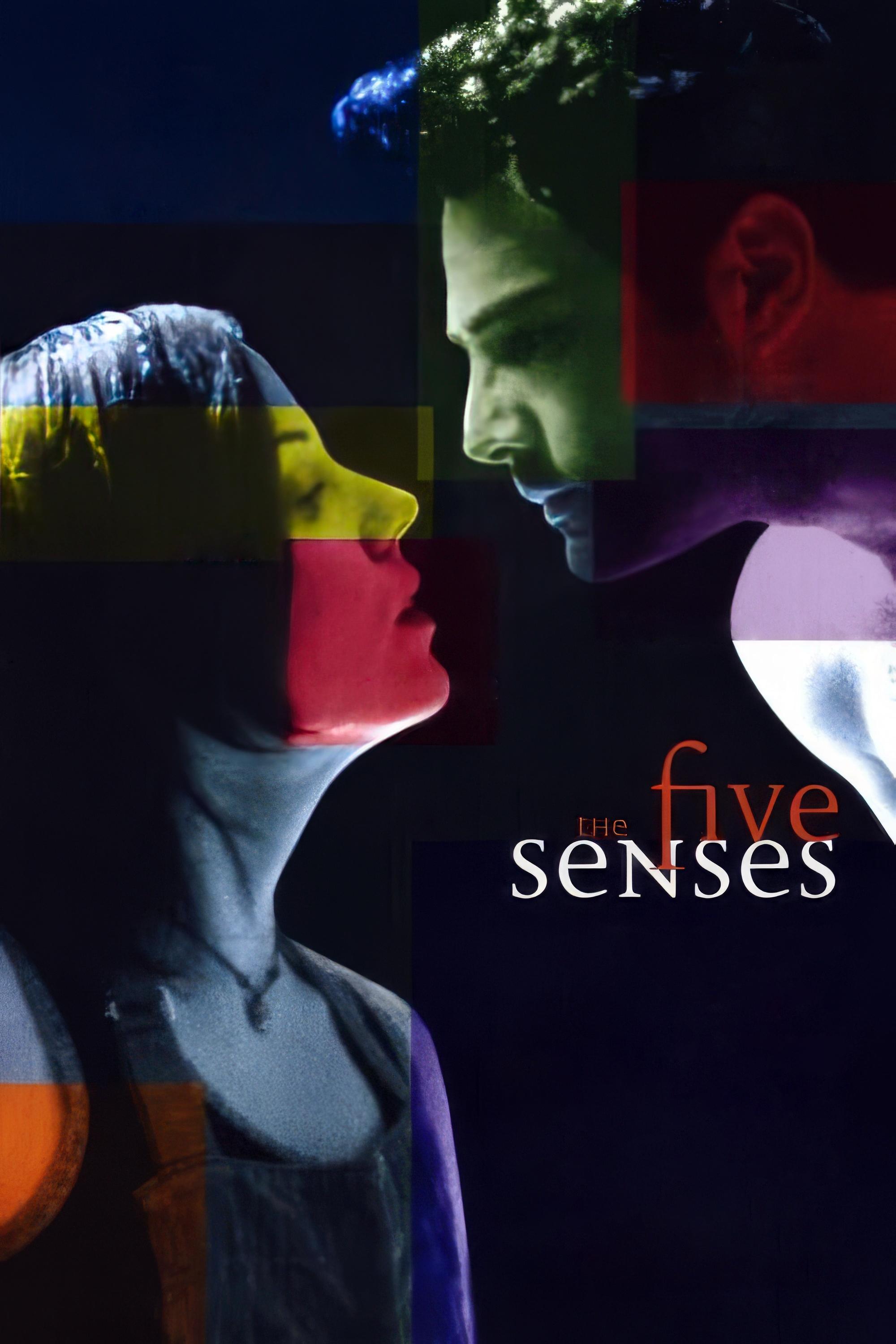 The Five Senses | The Five Senses