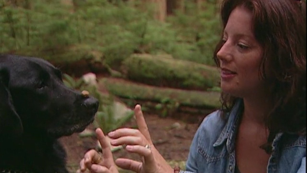 Sarah McLachlan: A Life of Music|Sarah McLachlan: A Life of Music