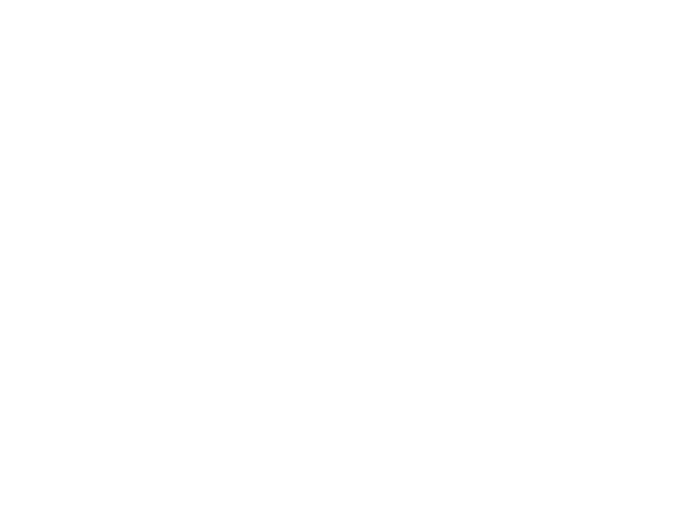 Silk Belt