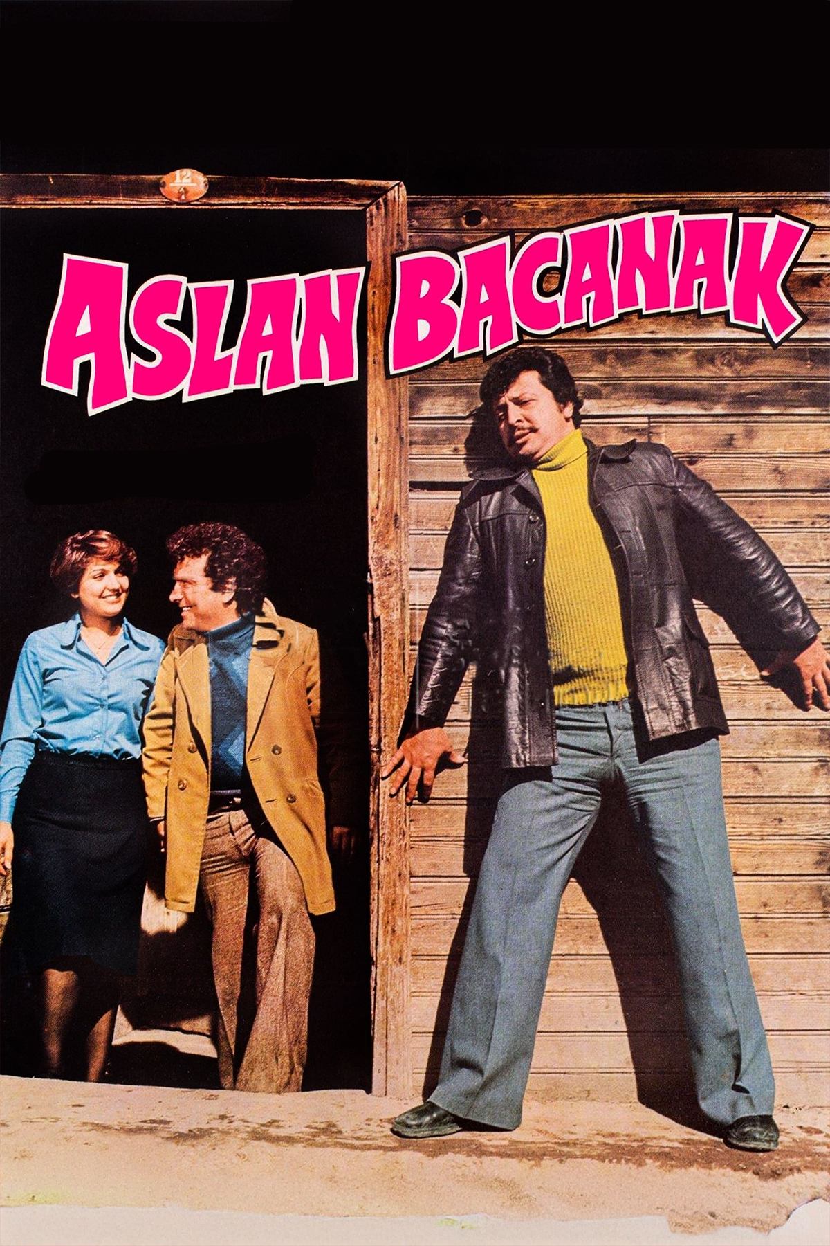 Aslan Bacanak | Aslan Bacanak