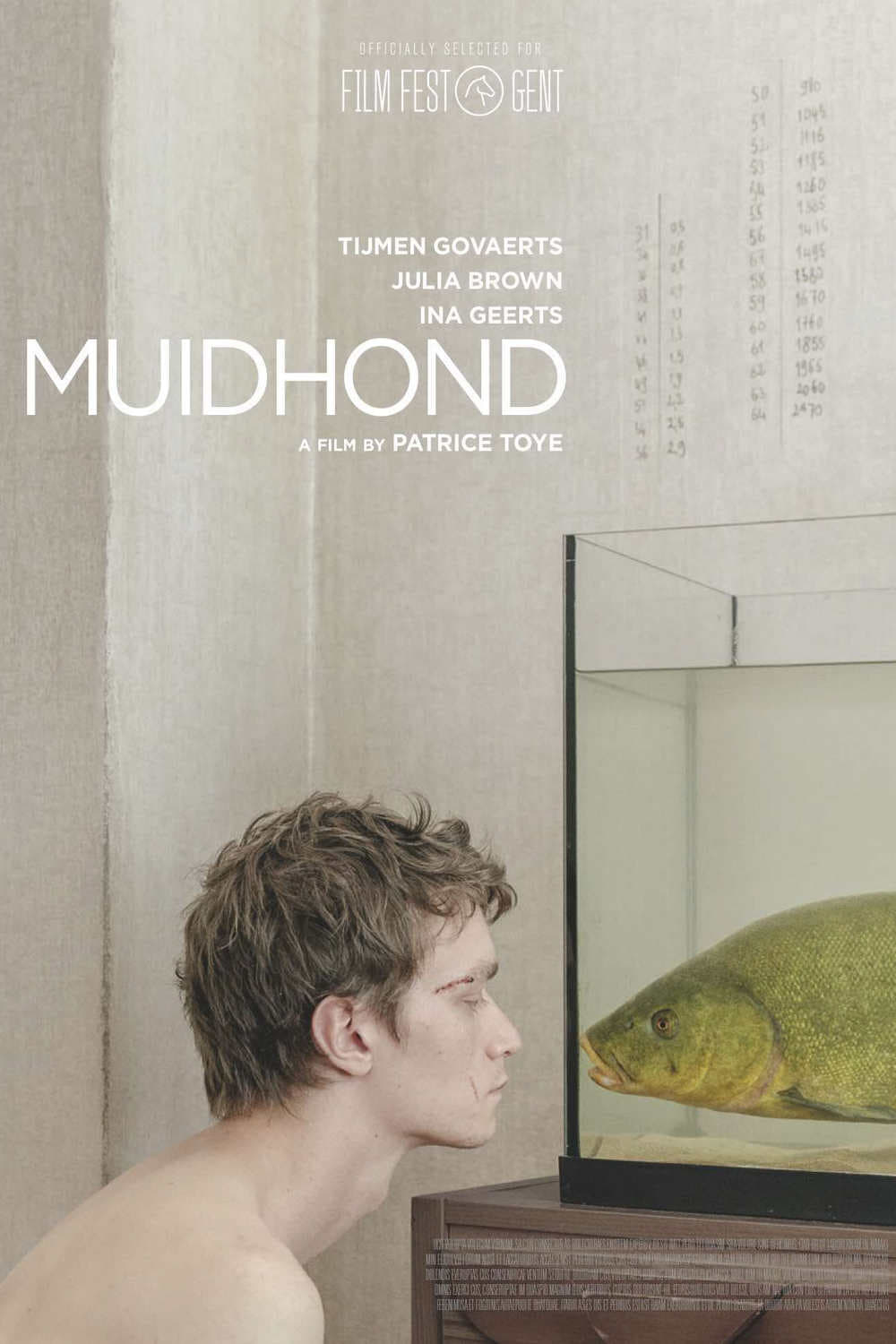 Muidhond | Muidhond