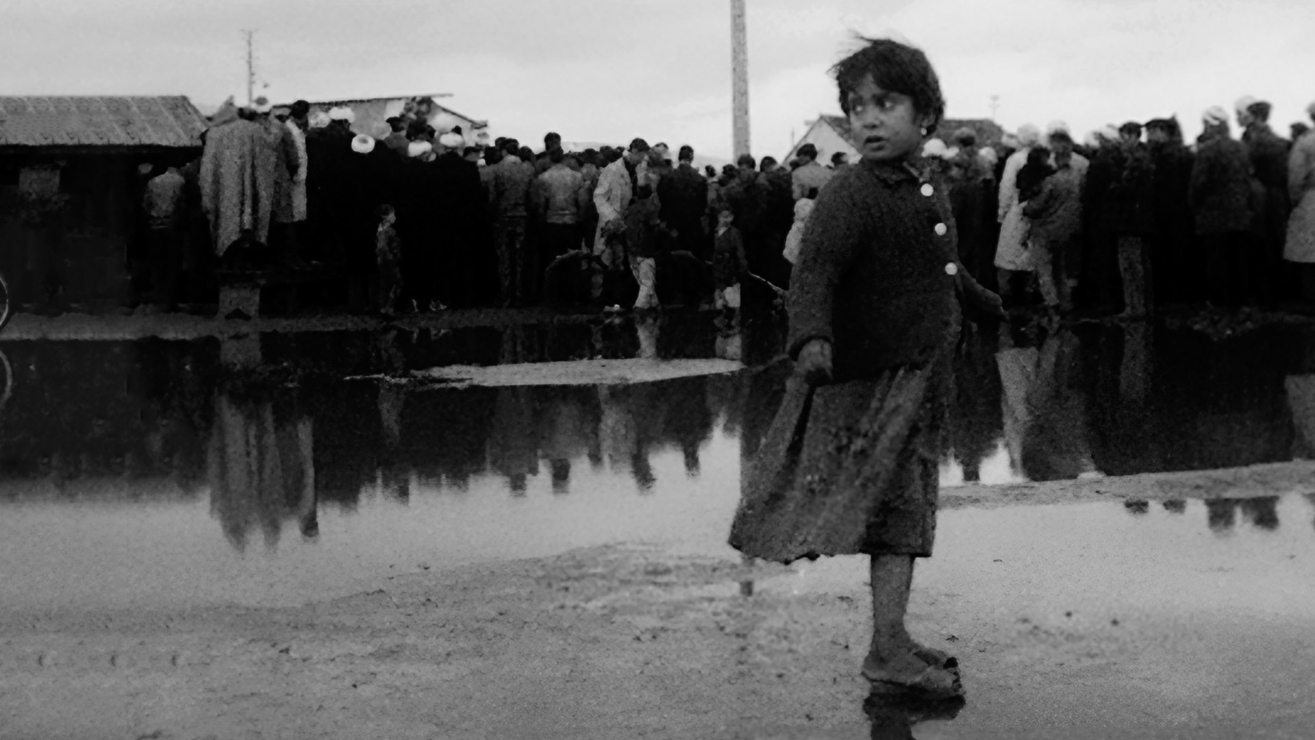 Algérie, année zéro|Algérie, année zéro