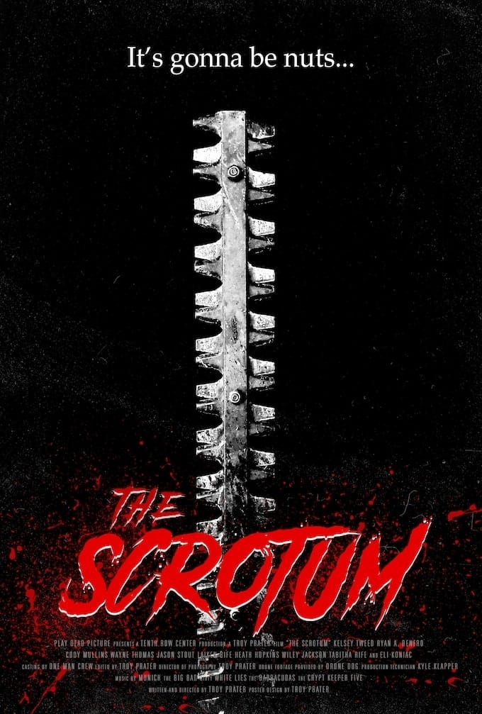 The Scrotum | The Scrotum