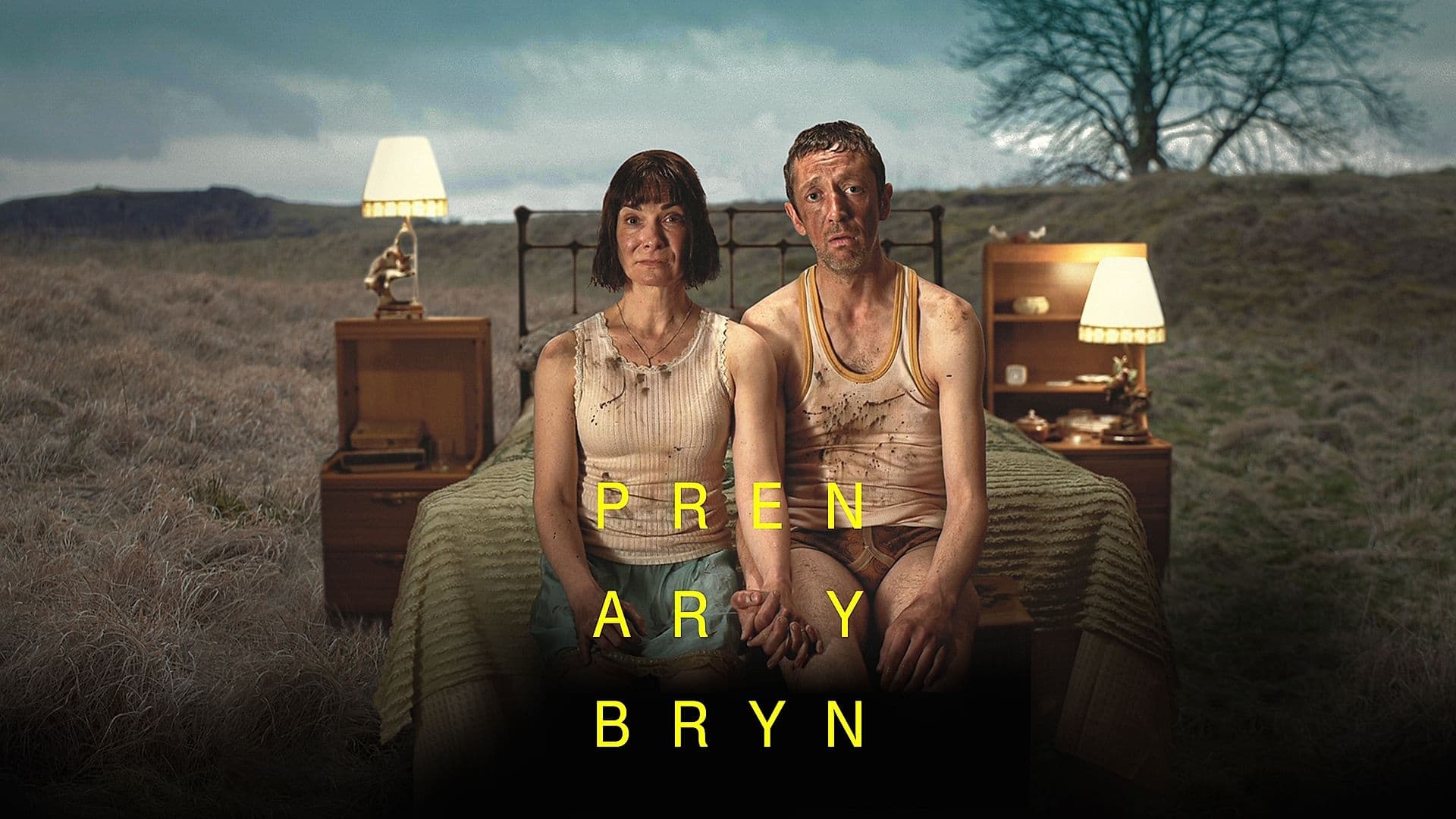 Pren ar y Bryn|Pren ar y Bryn