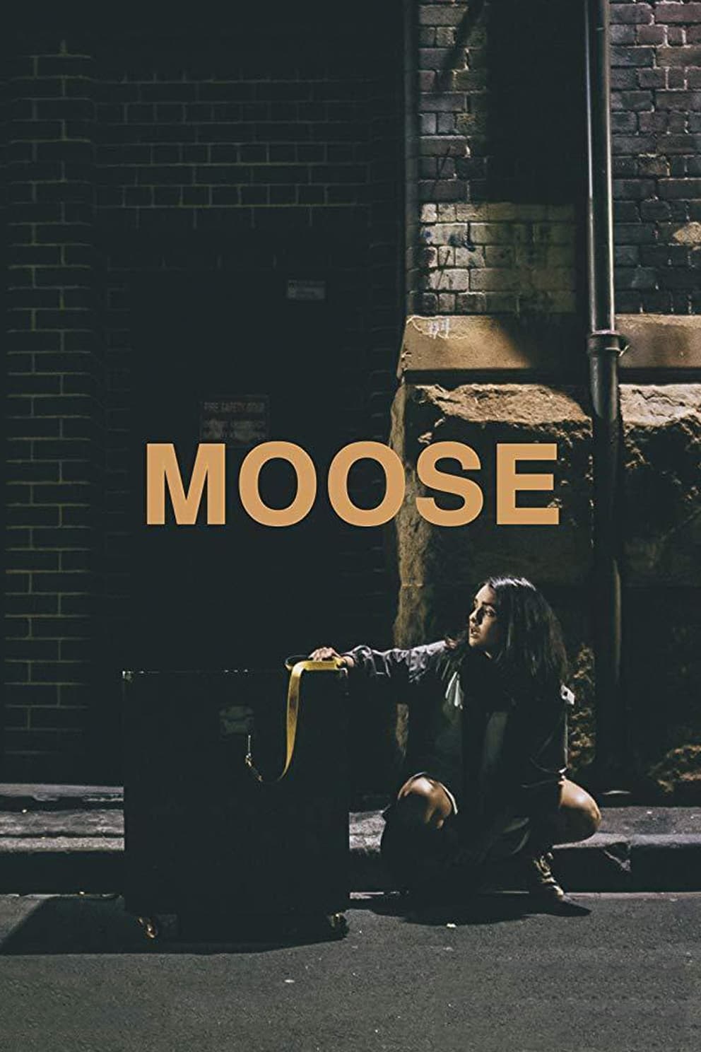 Moose | Moose