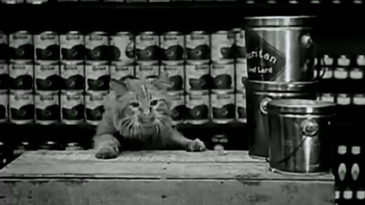 The Grocery Clerk|The Grocery Clerk