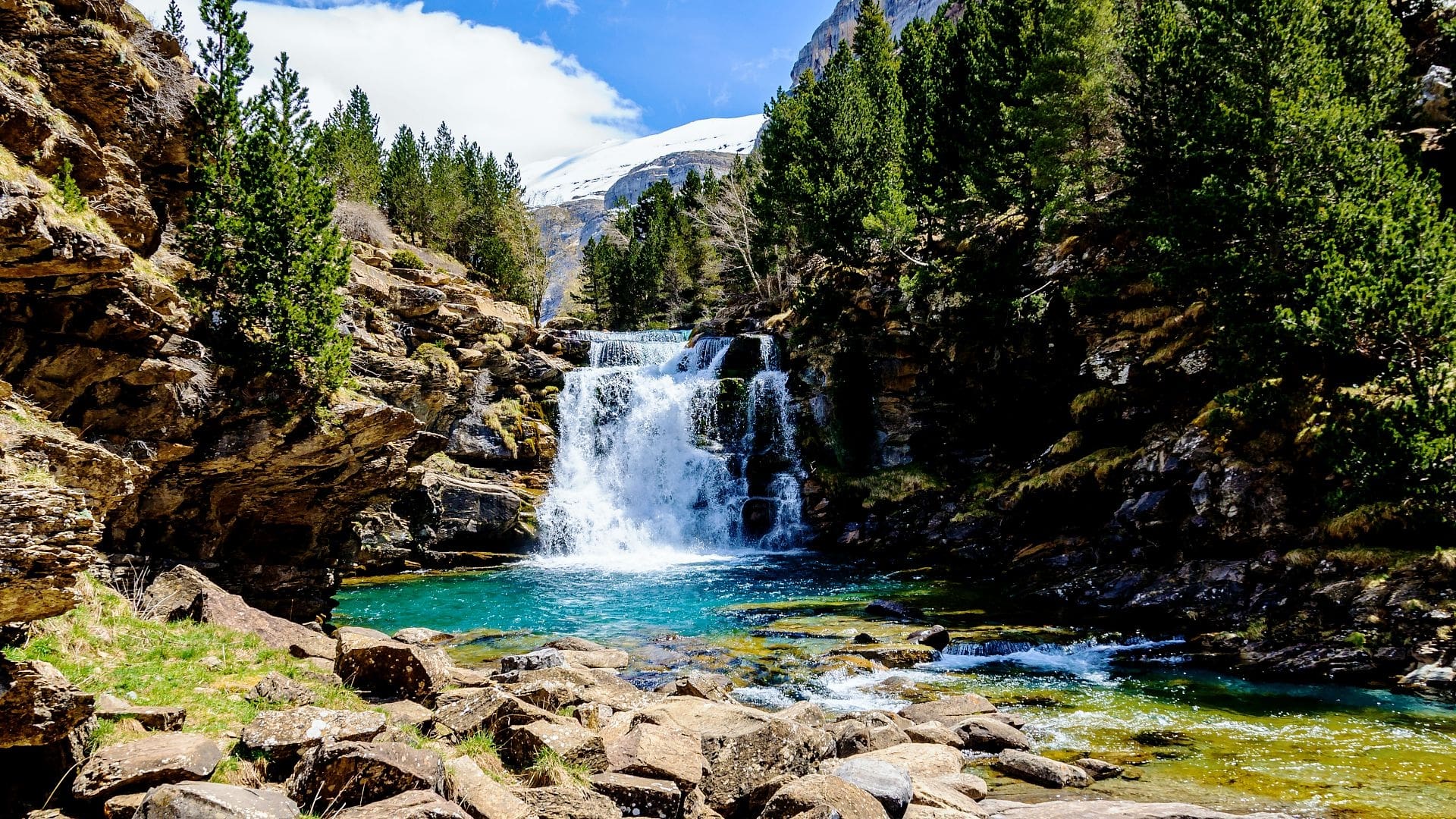 La face sauvage des Pyrénées|La face sauvage des Pyrénées