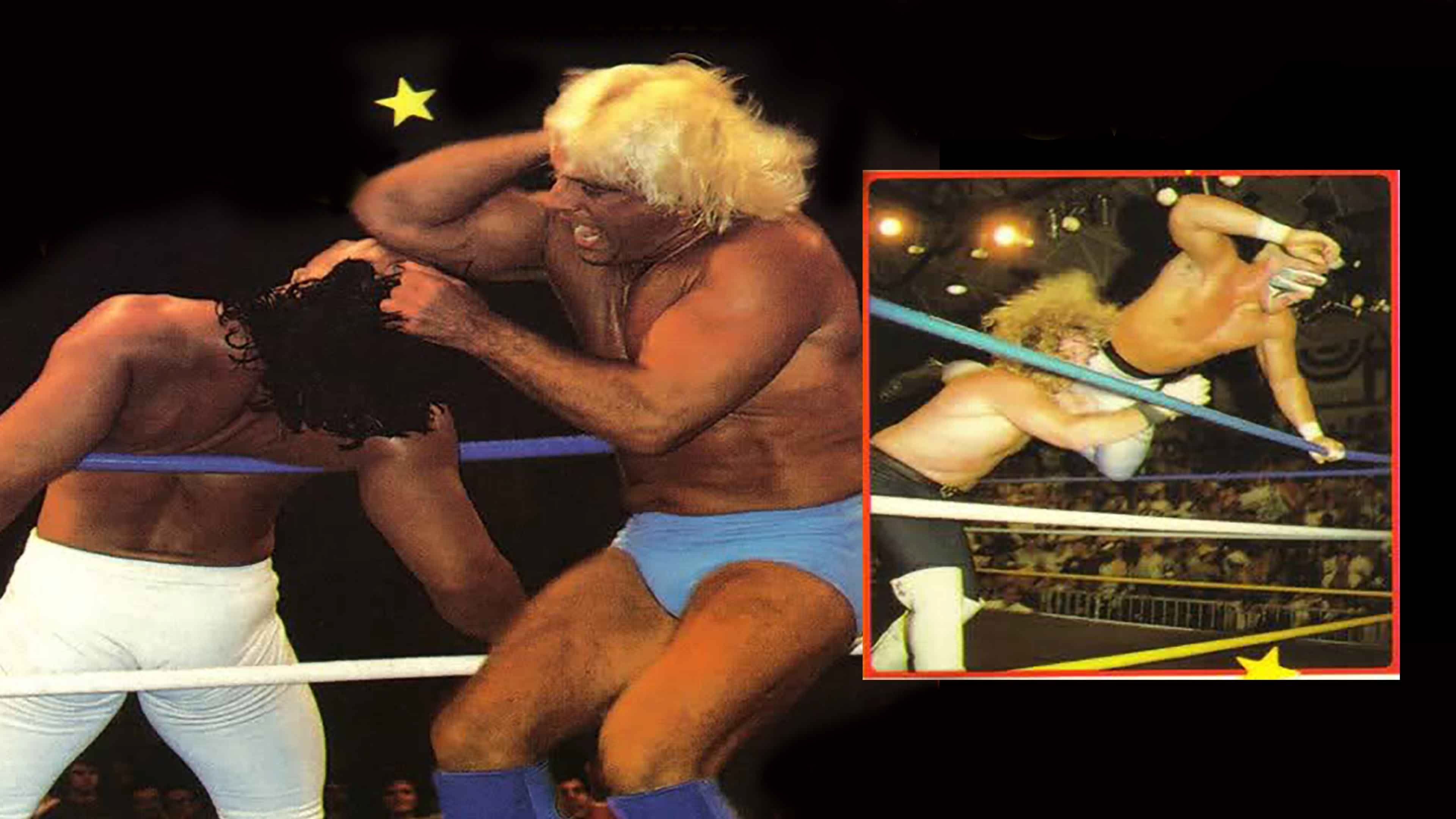 NWA The Great American Bash '89: The Glory Days|NWA The Great American Bash '89: The Glory Days
