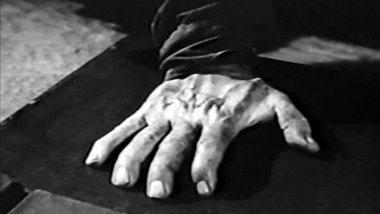 The Hand|The Hand