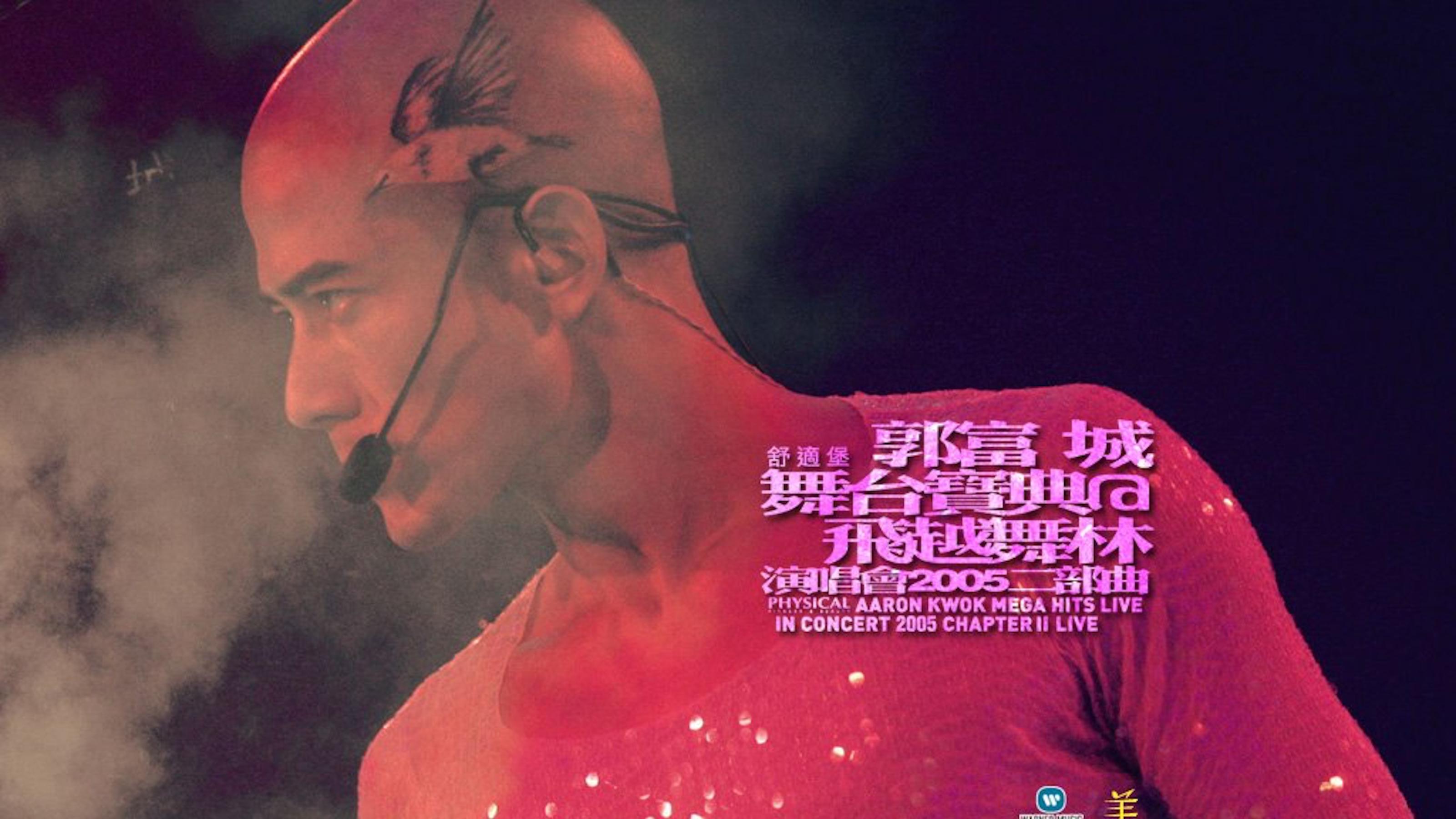 Aaron Kwok Mega Hits Live In Concert 2005 Chapter II Live|Aaron Kwok Mega Hits Live In Concert 2005 Chapter II Live