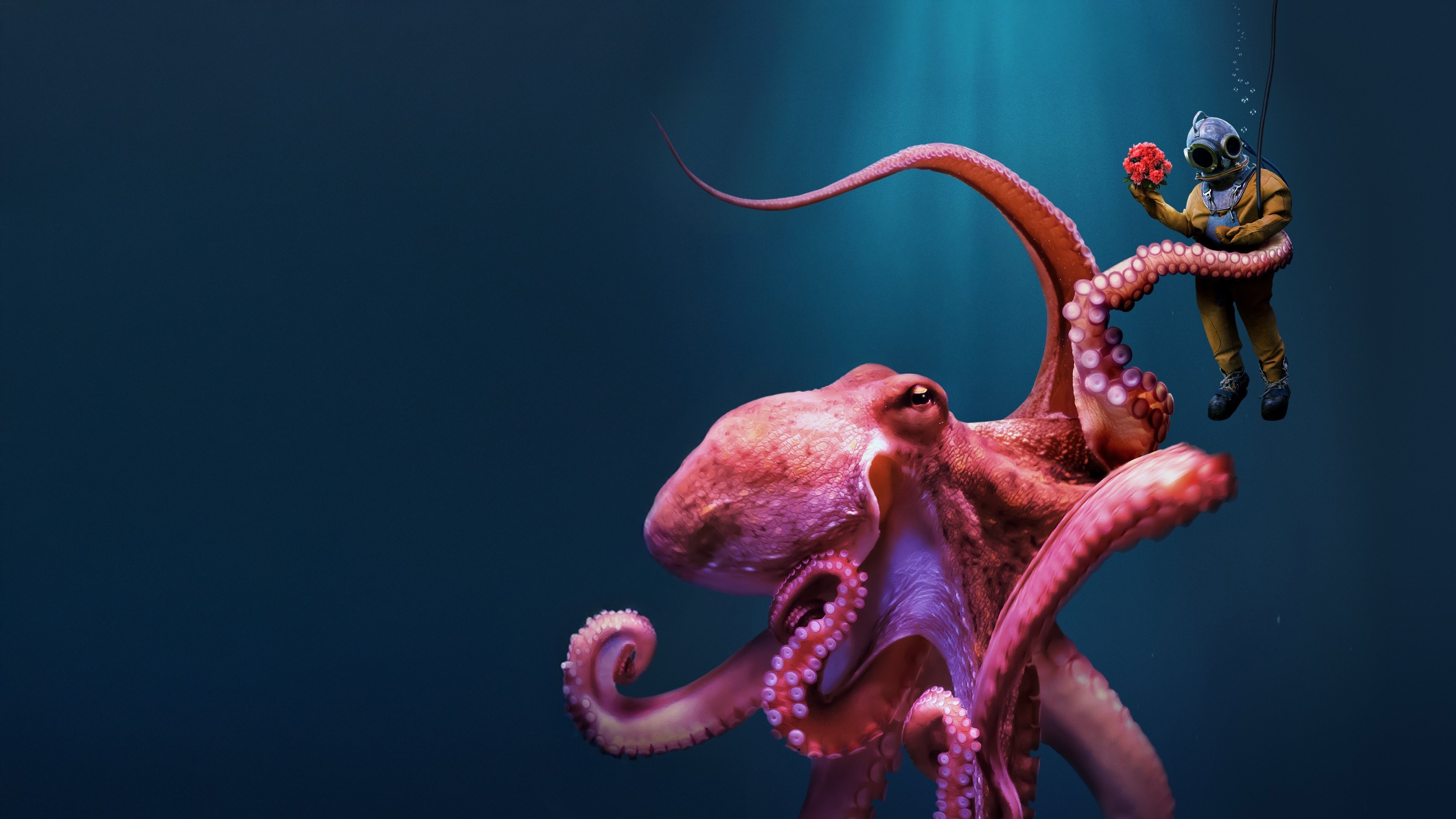 Octopus!|Octopus!
