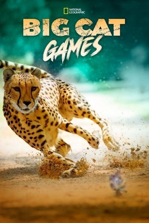 Big Cat Games | Big Cat Games