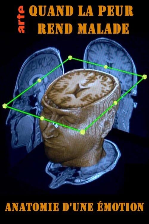 Quand la peur rend malade - Anatomie d'une émotion