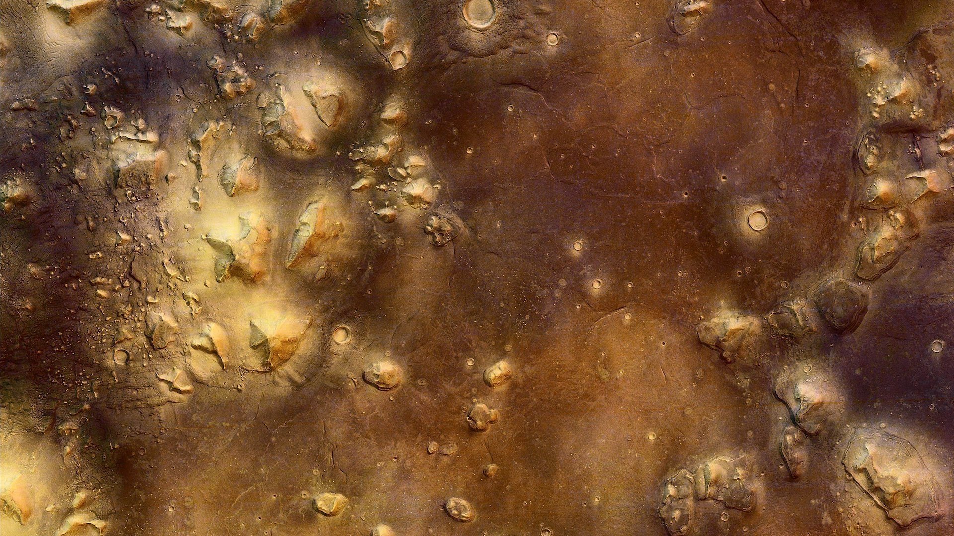 Packing for Mars|Packing for Mars