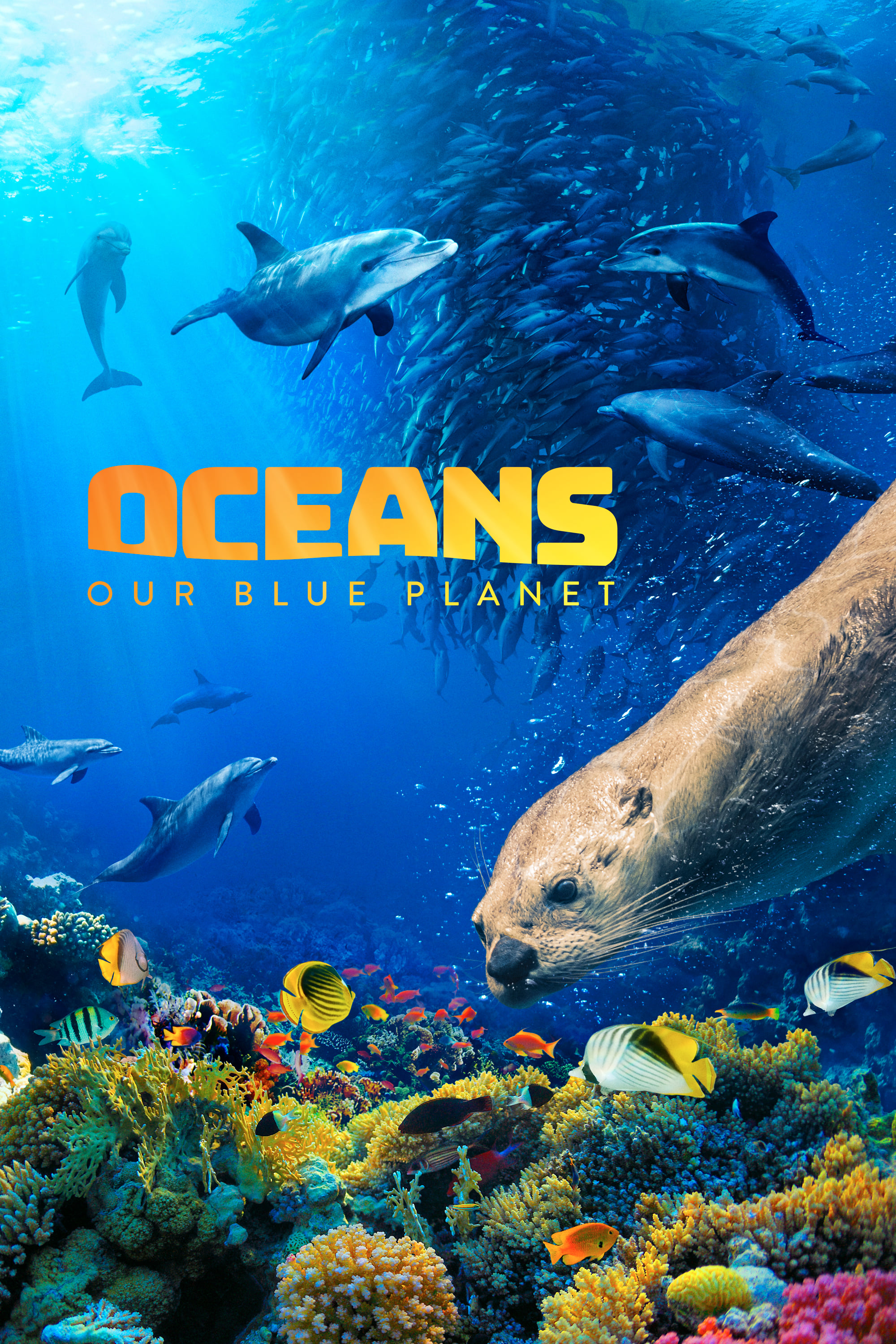 اقیانوس ها: سیاره آبی ما | Oceans: Our Blue Planet