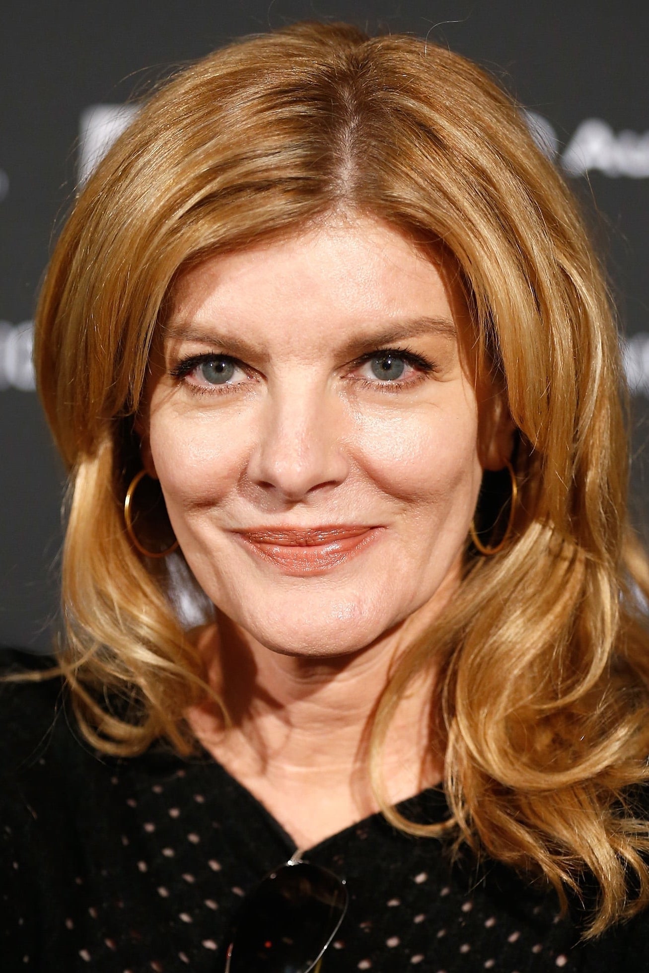 بازیگر Rene Russo  