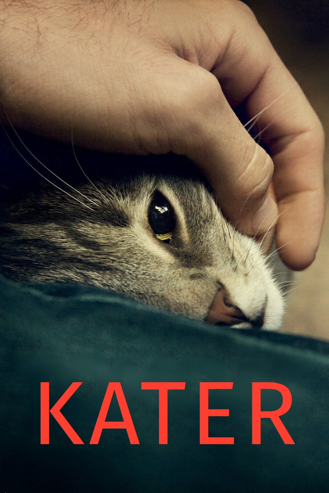 Kater | Kater