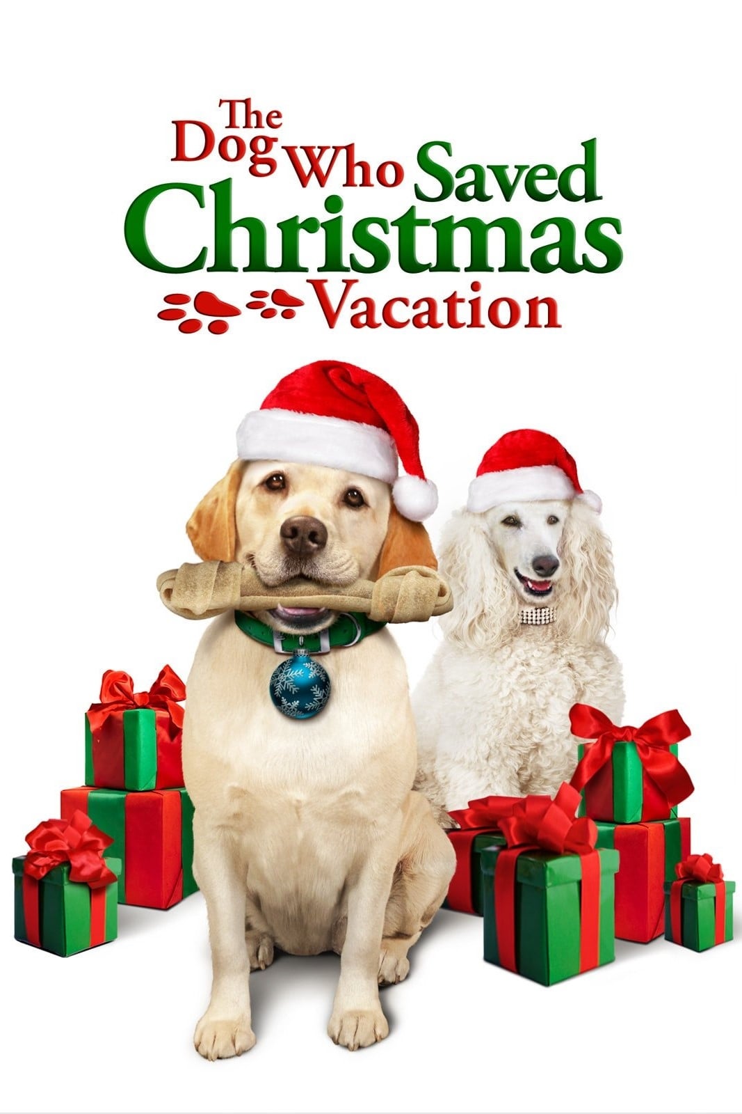 The Dog Who Saved Christmas Vacation | The Dog Who Saved Christmas Vacation