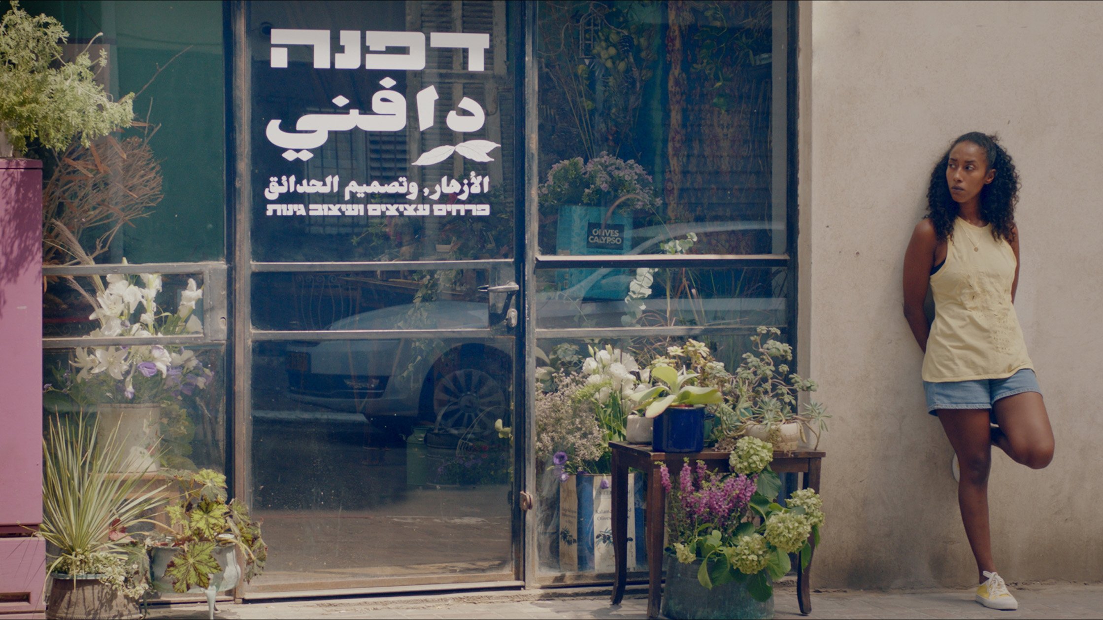 تصویر 2