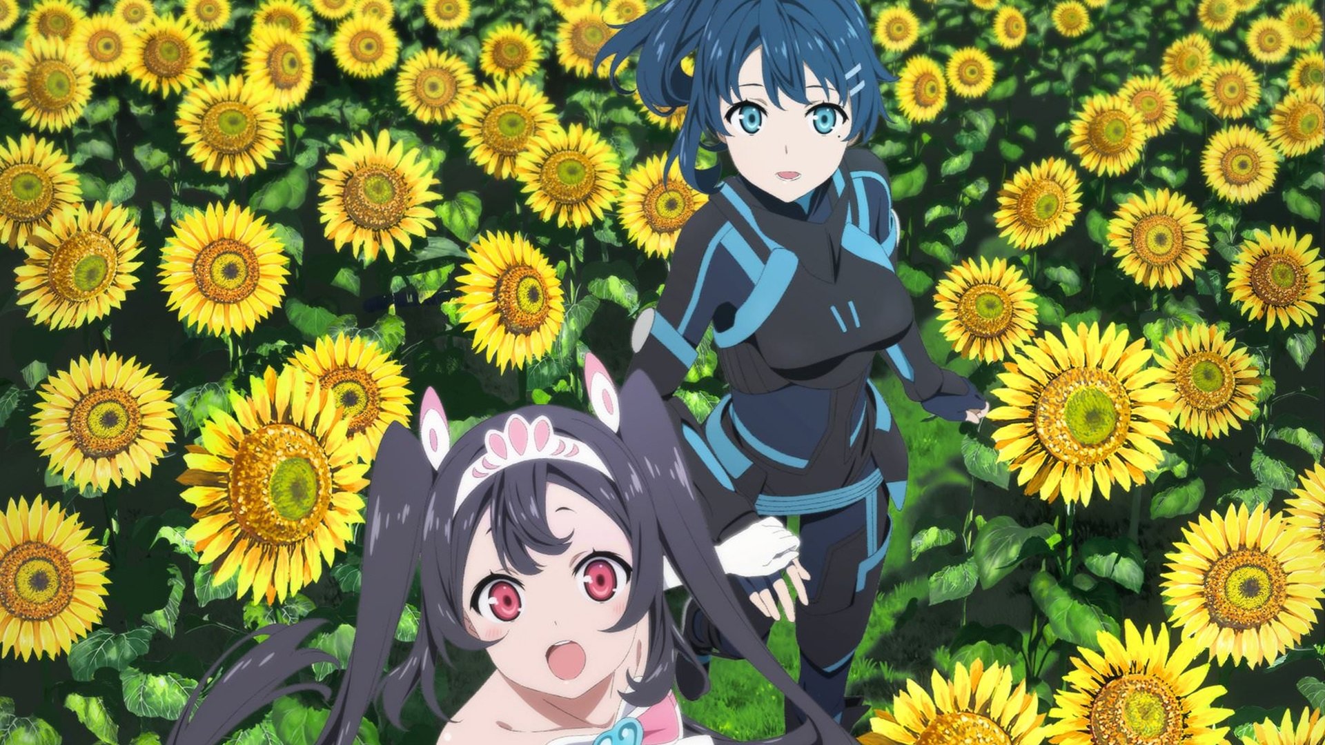 エガオノダイカ|エガオノダイカ
