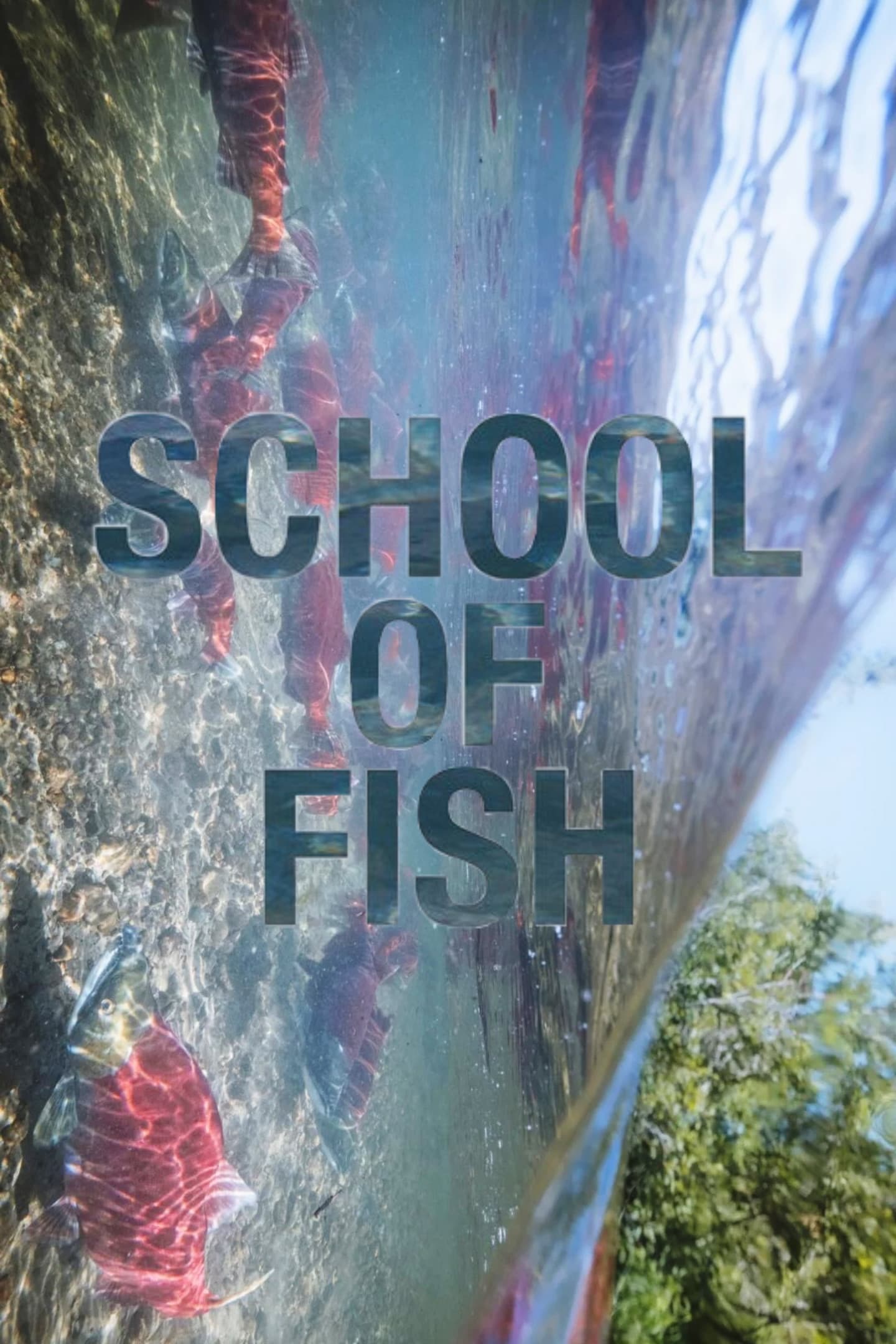 School of Fish | School of Fish