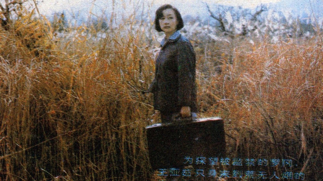 渴望|渴望