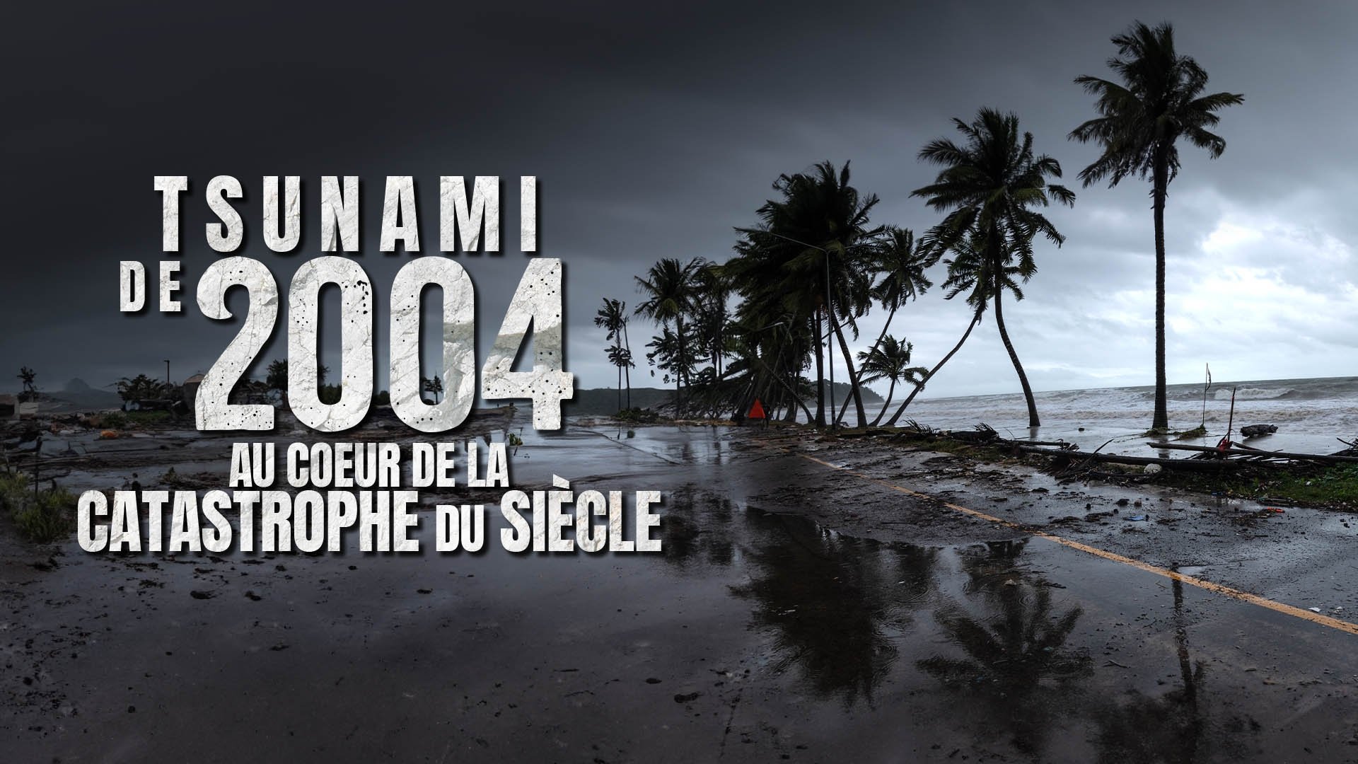 Tsunami 2004 : ils ont filmé la catastrophe du siècle|Tsunami 2004 : ils ont filmé la catastrophe du siècle
