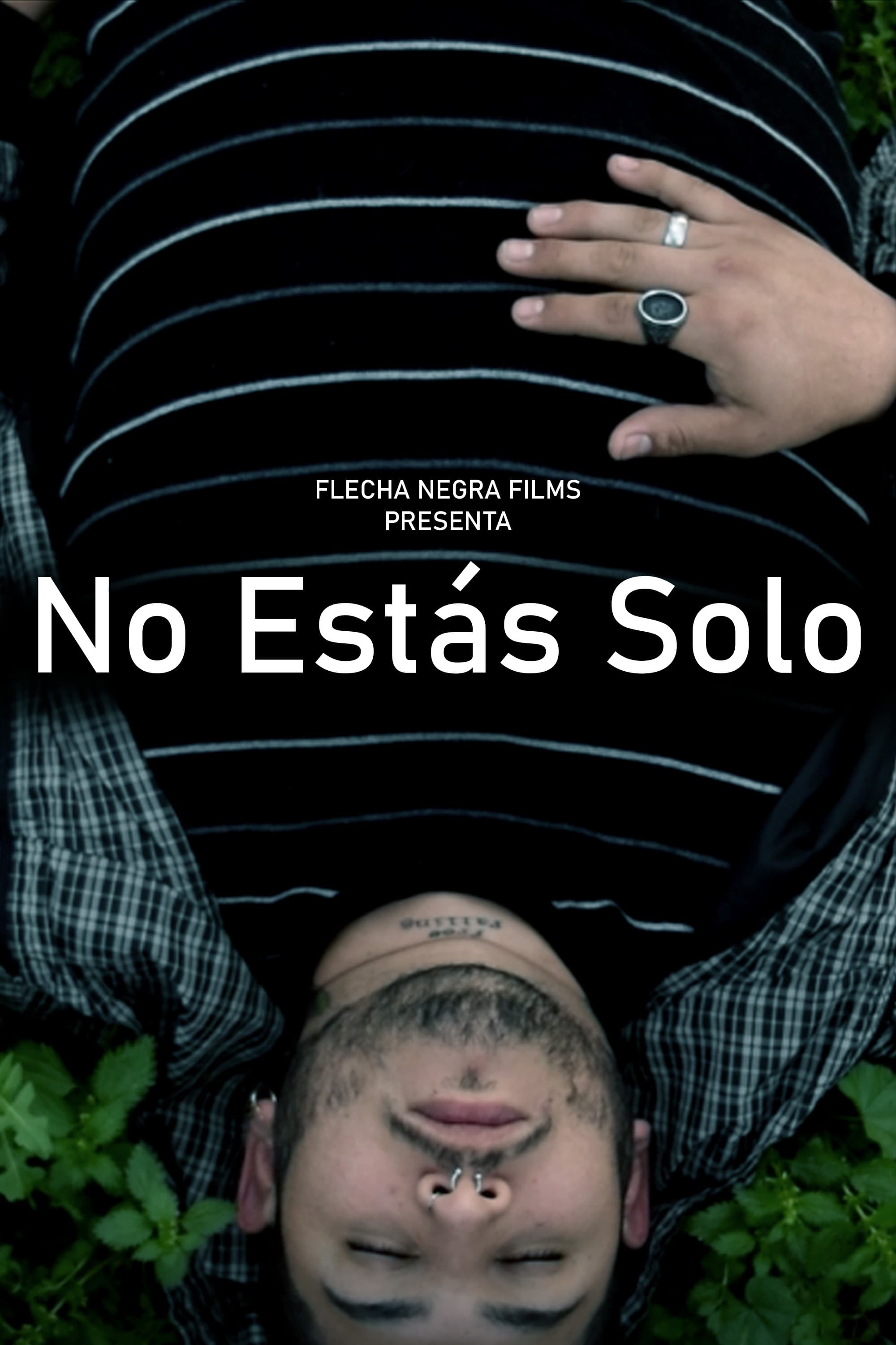 No Estás Solo | No Estás Solo