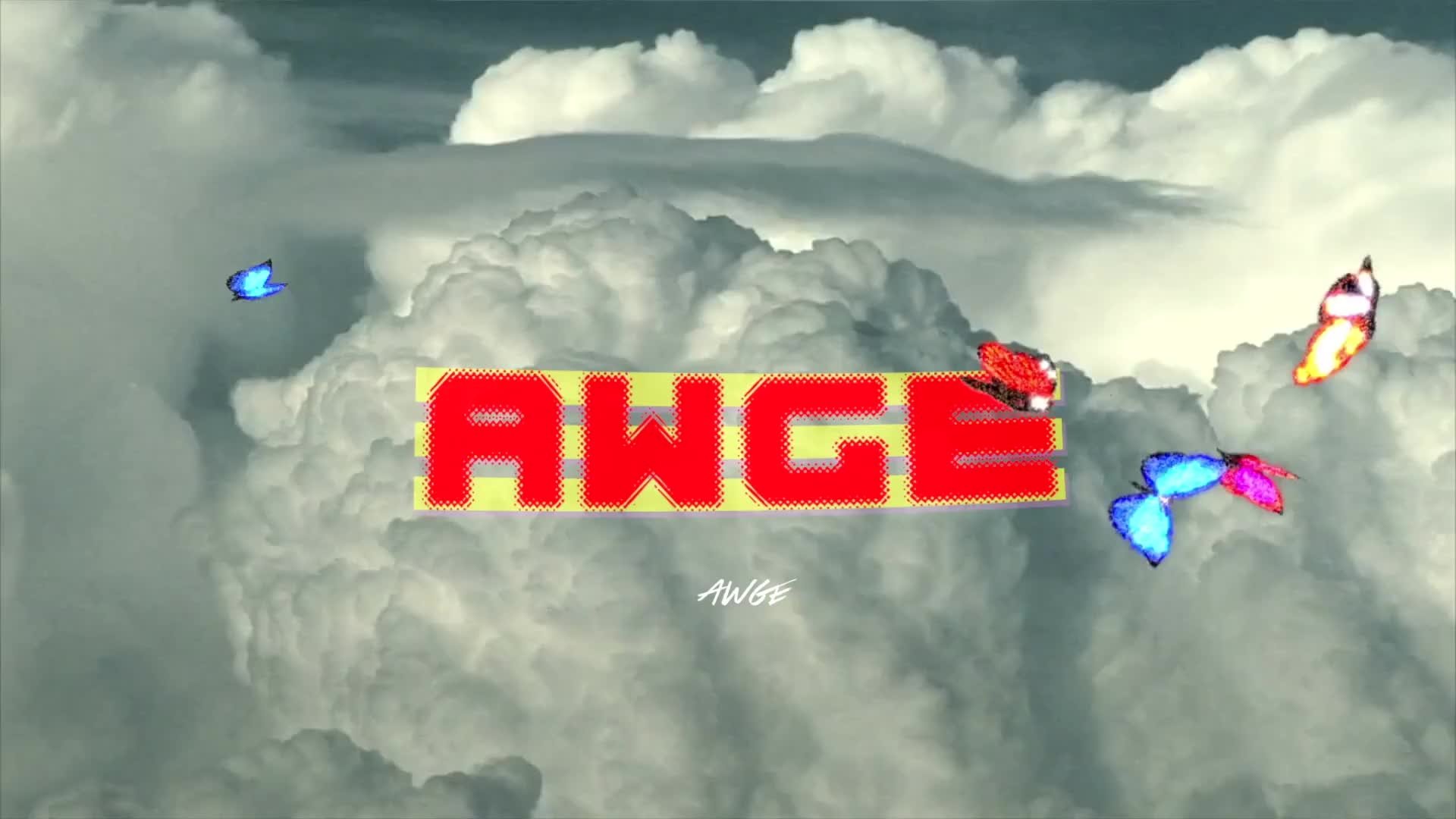 AWGE DVD: Volume 3|AWGE DVD: Volume 3