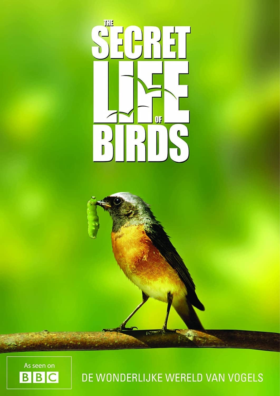 Iolo's Secret Life of Birds | Iolo's Secret Life of Birds