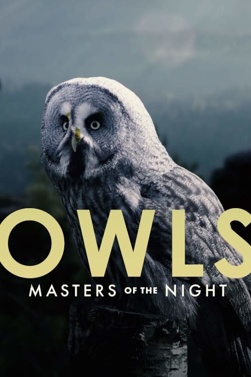 Owls: Masters of the Night | Owls: Masters of the Night