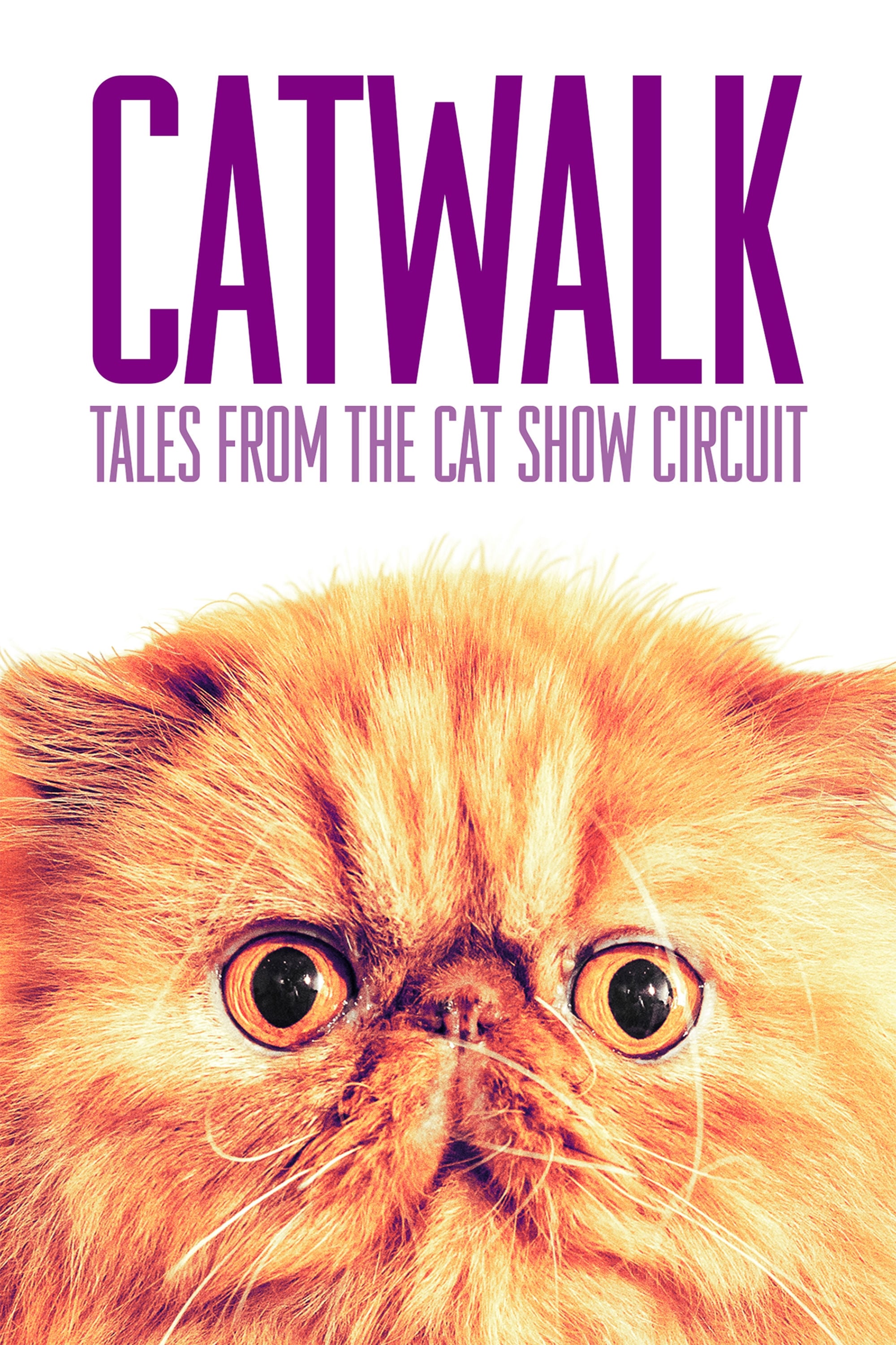 Catwalk: Tales from the Catshow Circuit | Catwalk: Tales from the Catshow Circuit