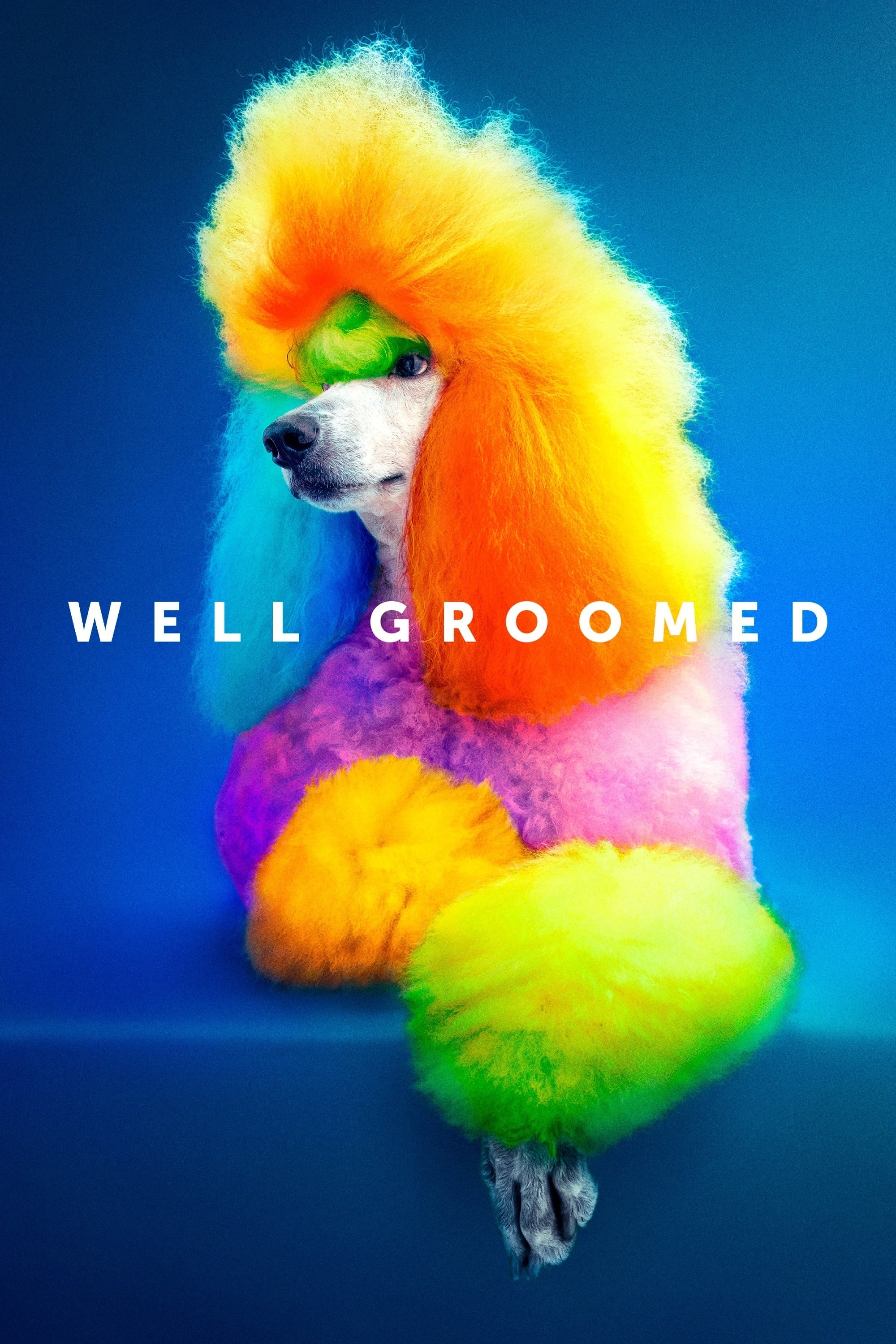 Well Groomed | Well Groomed