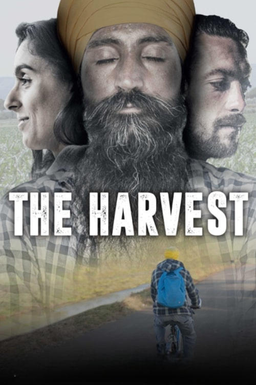 The Harvest