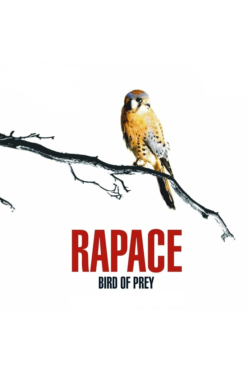 Rapace | Rapace