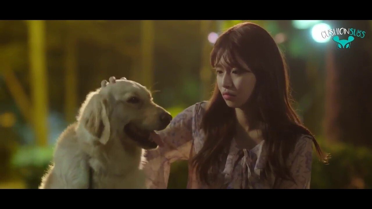 My Woofy Poofy Love|My Woofy Poofy Love