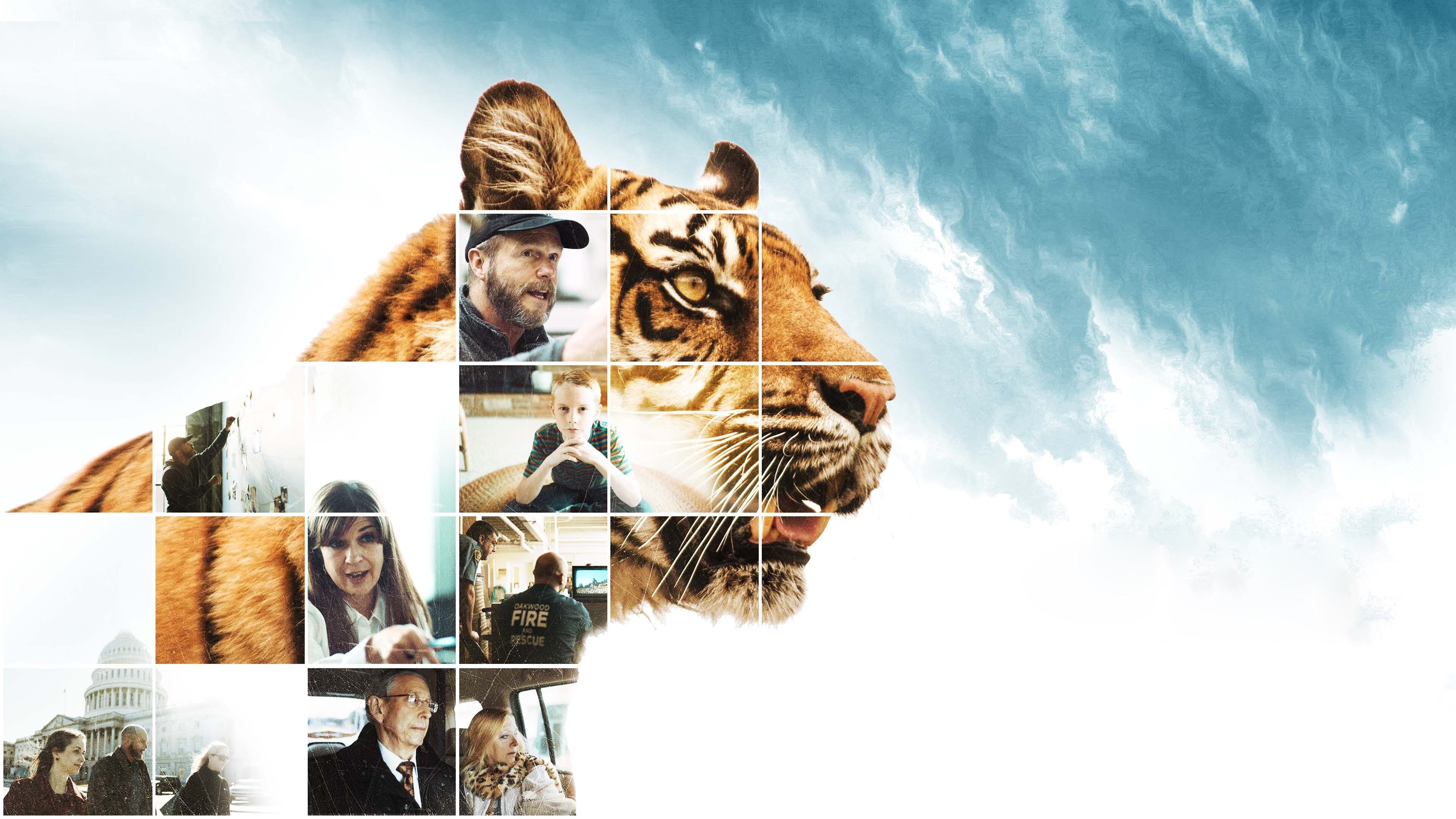The Conservation Game|The Conservation Game