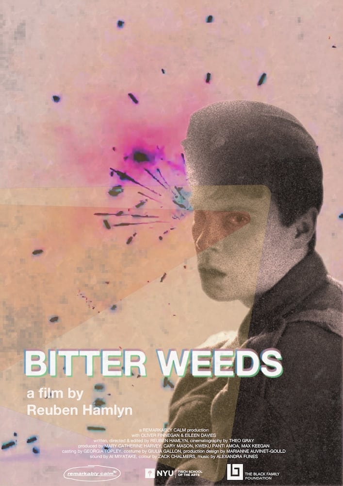 Bitter Weeds | Bitter Weeds