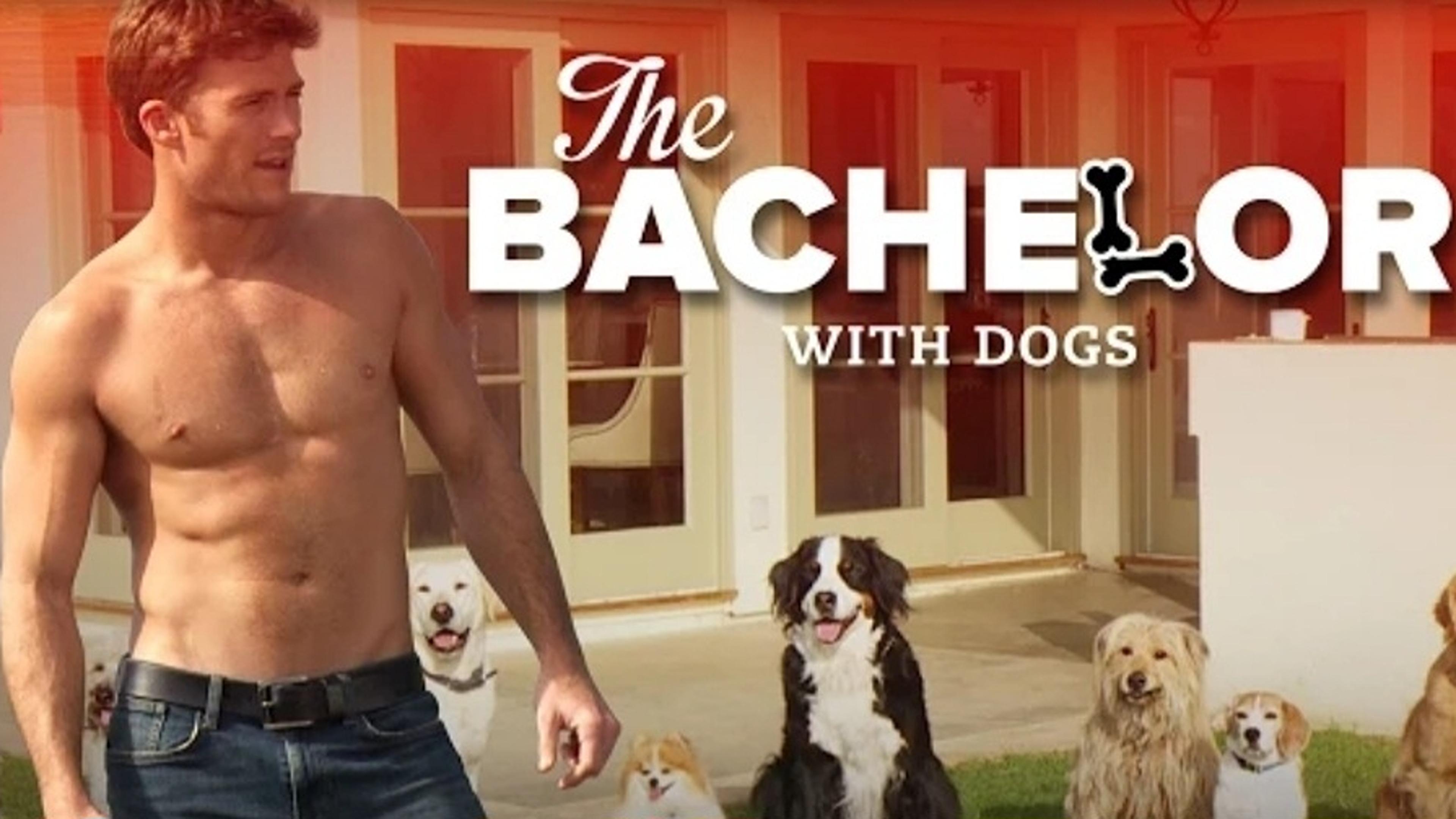 The Bachelor with Dogs and Scott Eastwood|The Bachelor with Dogs and Scott Eastwood