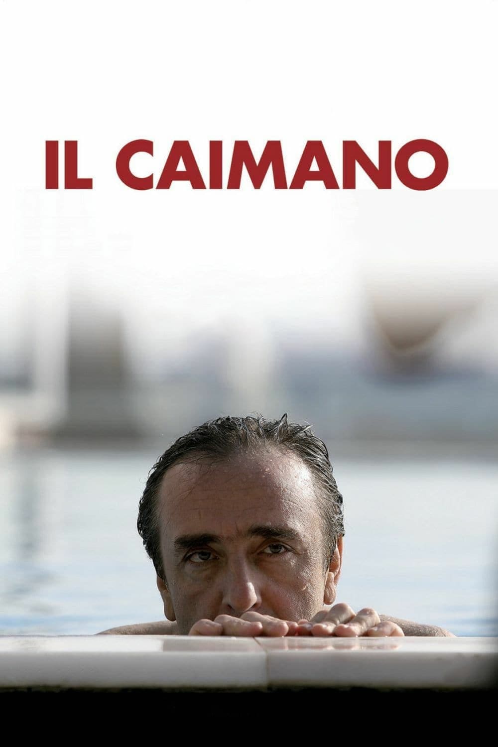 Il caimano | Il caimano