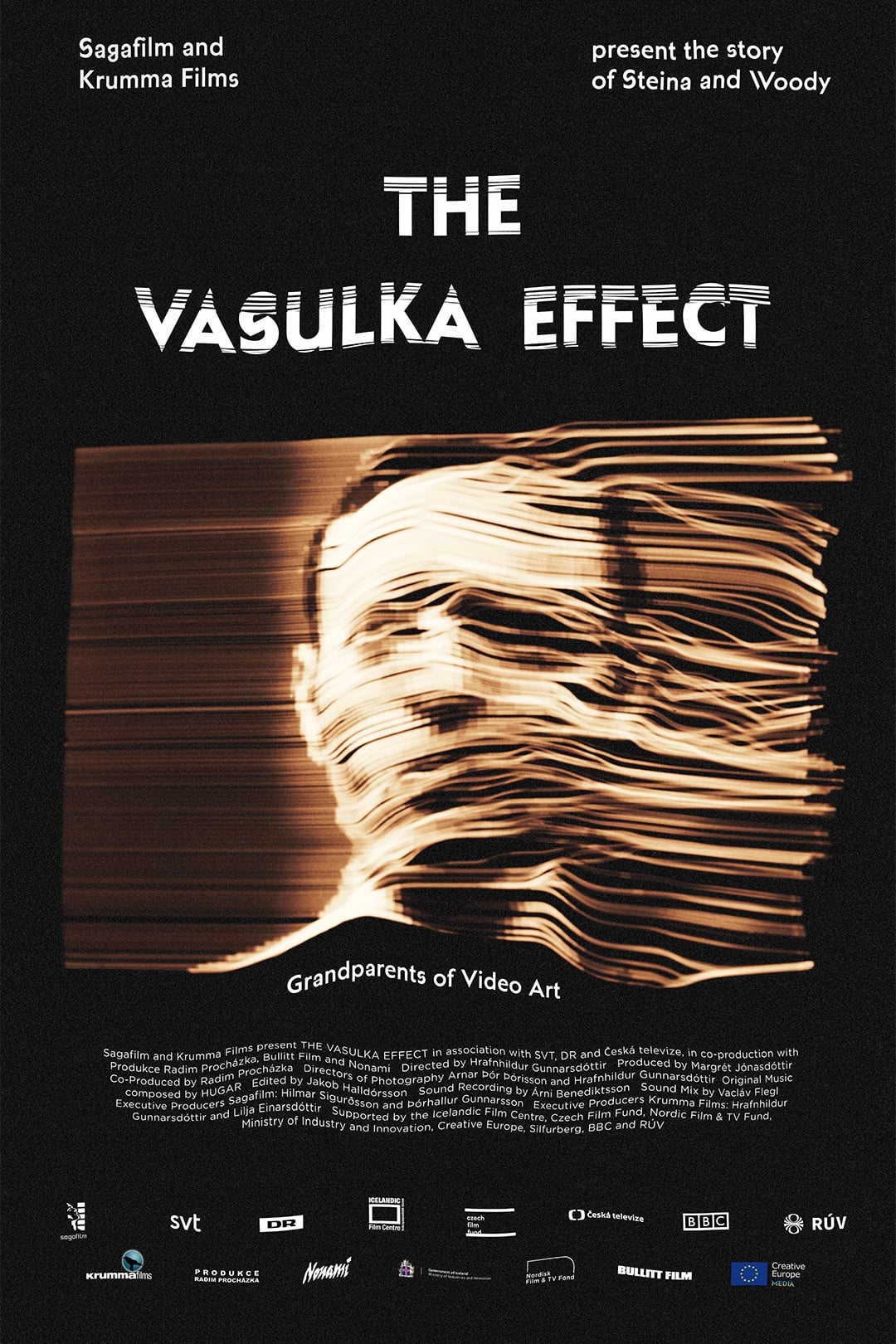 The Vasulka Effect | The Vasulka Effect