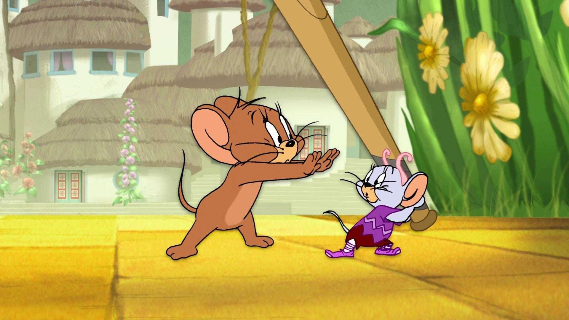 Tom and Jerry: The Classic Collection Volume 6|Tom and Jerry: The Classic Collection Volume 6