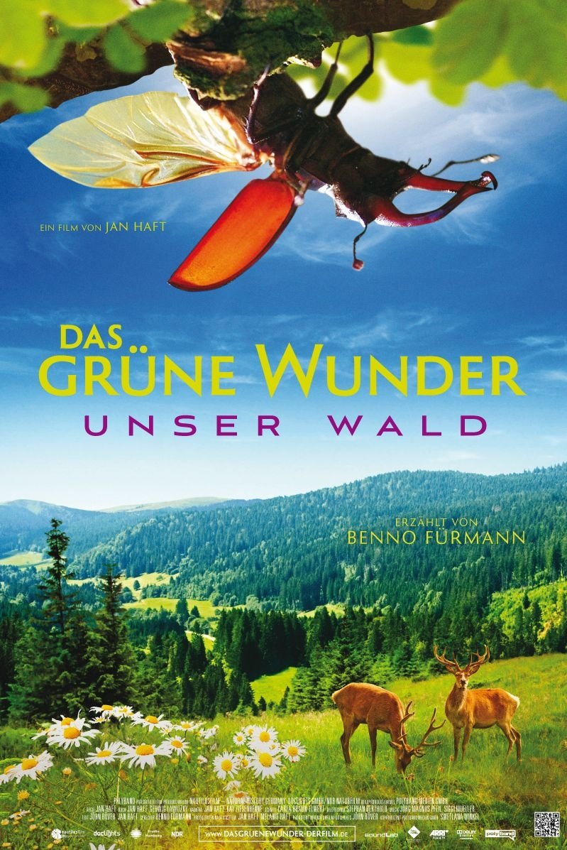 Das grüne Wunder - Unser Wald | Das grüne Wunder - Unser Wald