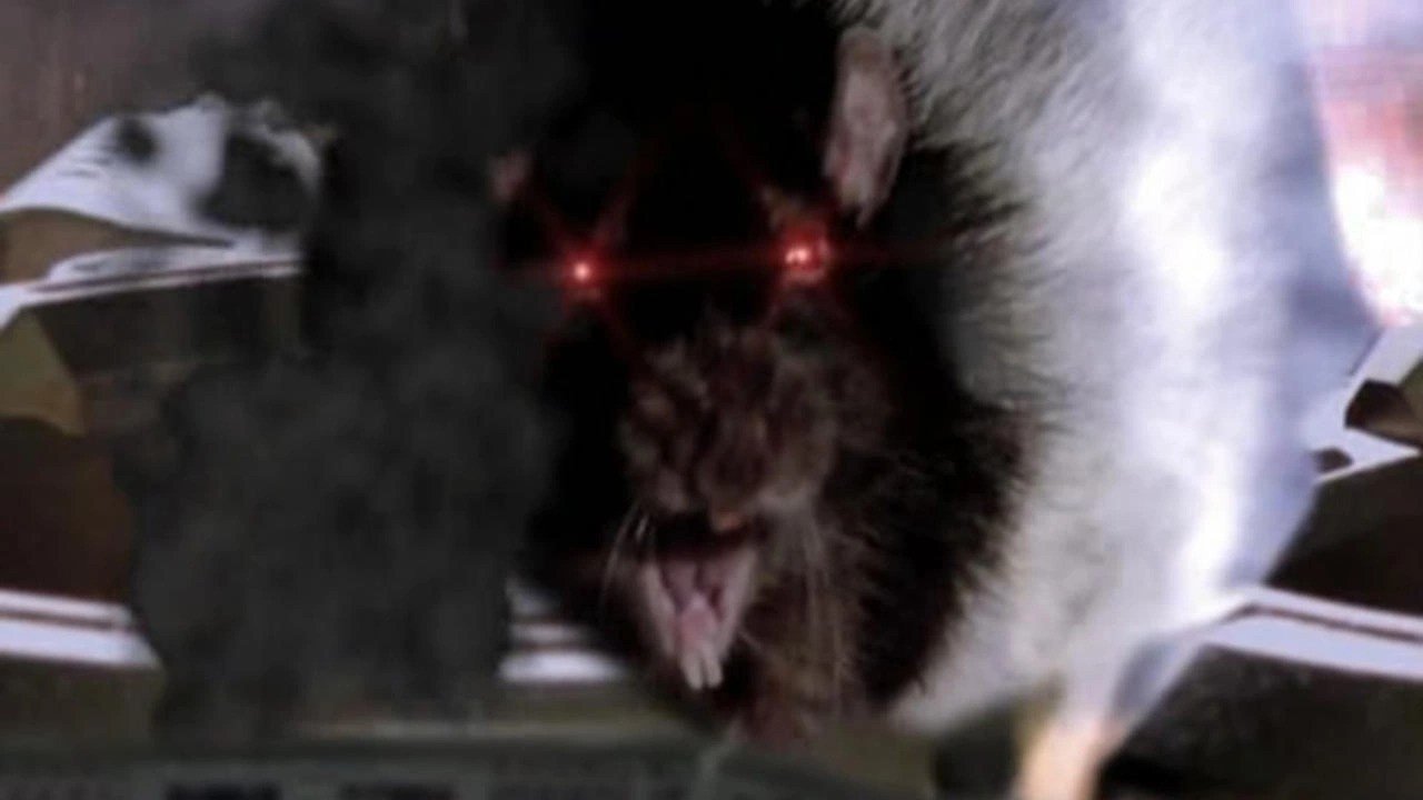 Rat Scratch Fever|Rat Scratch Fever