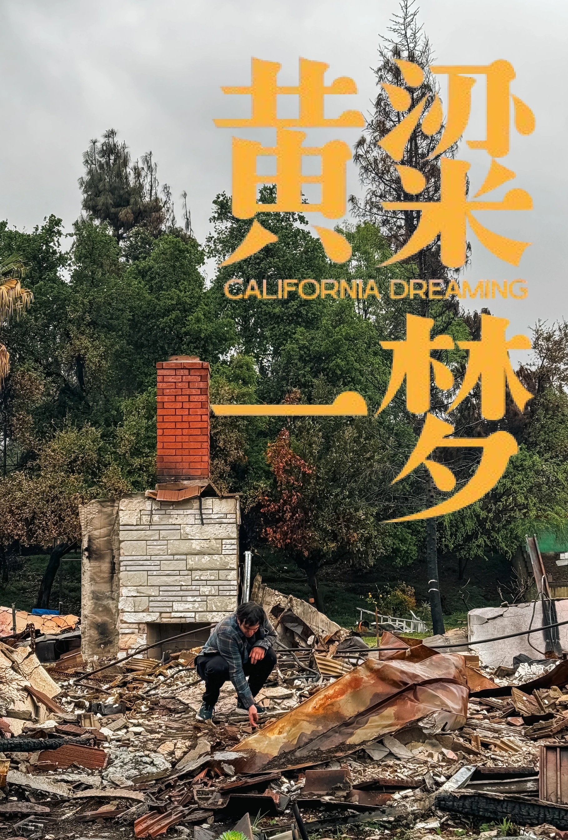美洲大宝荐：黄粱一梦